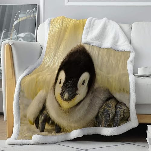 loyaltyer Fleecedecke Gelber Pinguin Decke 160x200 cm Dicke Comfy Weiche Warme Sherpa Decken für Den Winter Herbst als Outdoor Camping Picknickdecke Sofa überwurfdecke TV Wohnzimmerdecke von loyaltyer