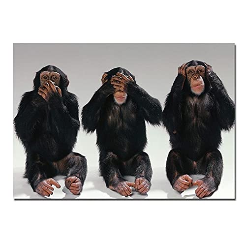 Tier Bilder Leinwand Gedruckt Malerei Modern Lustig Der Affe berührt dein Gesicht Wandkunst Poster für Wohnzimmerdekor(Color:XQ 717 1,Size:No Frame 30X50 cm) von luose