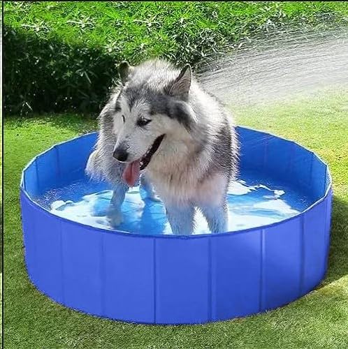 Hundepool für Große & Kleine Hunde, m MU Faltbarer Hunde Planschbecken 80 * 30CM Hundebadewanne Stabiler Swimmingpool Haustier Kind Schwimmbecken rutschfest Tragbar Blau von m MU