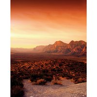 marburg Vliestapete »Dune DD«, Wüste, Landschaft, orange/rot von marburg