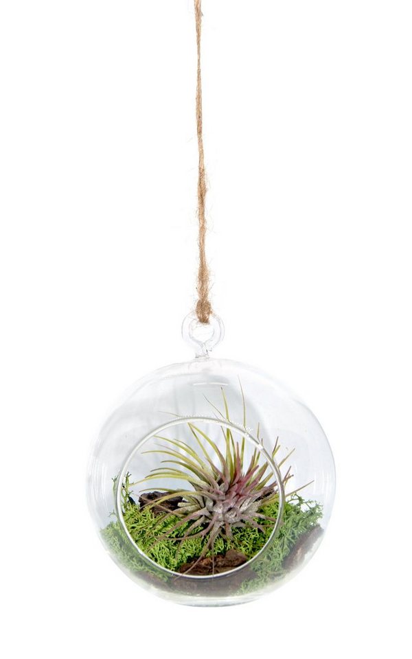 meinvipshop Hängedekoration Miniaturgarten im Glas zum aufhängen 12cm "handmade" (1 St) von meinvipshop