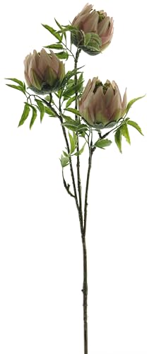 mucplants Künstlicher Protea-Stecker ca. 73 cm Zuckerbüsche Seidenblume Kunstblume Silberbaum Kaprosen Federbüsche Kunstblume Stecker (Pink) von mucplants