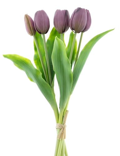 mucplants künstliche Tulpen Holland ca. 36cm Tulpenbündel mit 3 Tulpen und 2 Tulpenknospen real Touch (Aubergine) von mucplants