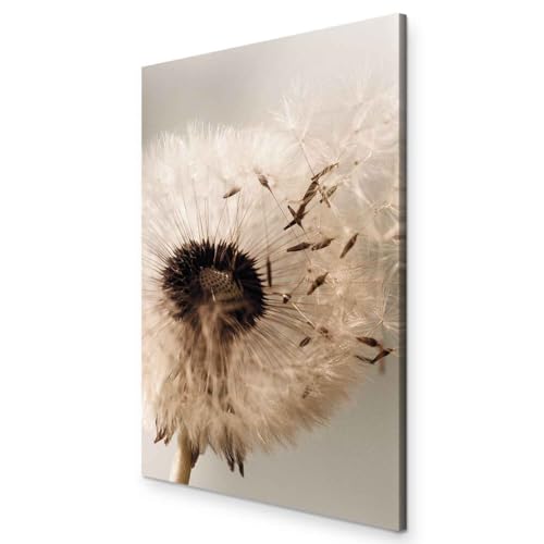 murando Akustikbild Blumen Bilder Akustikschaum Hochleistungsschallabsorber Schallschutz Leinwand 1 tlg Wandbild Raumakustik Schalldämmung Pusteblume Natur b-C-0499-b-a von murando