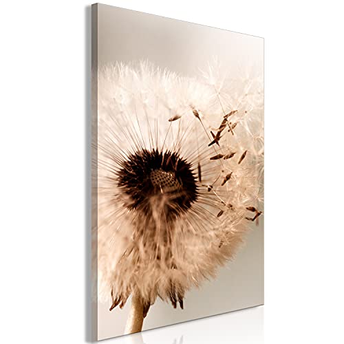 murando - Bilder Blumen 40x60 cm Vlies Leinwandbild 1 tlg Kunstdruck modern Wandbilder Wanddekoration Design Wand Bild - Pusteblume Natur b-C-0499-b-a von murando