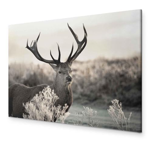 murando - Bilder Hirsch 60x40 cm Leinwandbild 1 tlg Kunstdruck modern Wanbilder XXL Wanddekoration Design Wand Bild Tiere Natur g-B-0054-b-d von murando