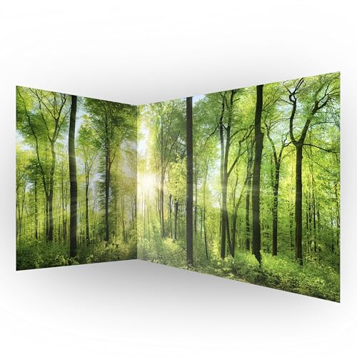 murando Eckfototapete Wald 550x250 cm Vlies Tapeten Wandtapete XXL Moderne Fototapete Wanddeko Design Wand Dekoration Wohnzimmer Schlafzimmer Büro Flur Landschaft Natur grün Baum c-A-0058-a-b von murando