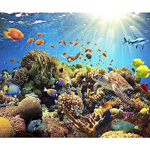 murando - Fototapete Premium-Vlies Aquarium 500x350 cm - Foto Tapete Schlafzimmer Wohnzimmer Moderne Vliestapete XXL Wandtapete Motivtapeten Bildtapete 3d Effekt - Unterwasserwelt b-A-0002-a-a von murando