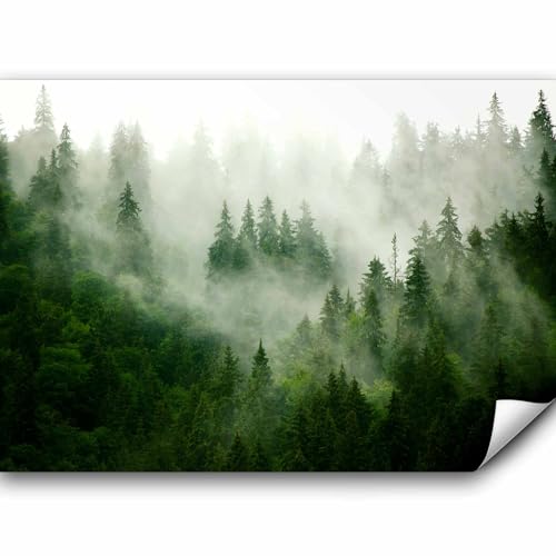 murando Fototapete Wald Nebel 350x256 cm Vlies Tapeten Wandtapete XXL Moderne Wanddeko Design Wand Dekoration Wohnzimmer Schlafzimmer Büro Flur Natur Landschaft skandinavisch c-B-0533-a-b von murando