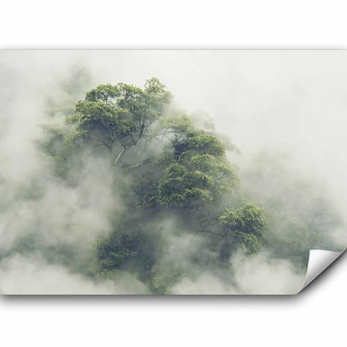 murando - Vlies Fototapete Wald im Nebel 400x280cm Foto Tapete Schlafzimmer Wohnzimmer Vliestapete XXL Motivtapeten Bildtapete 3d Effekt Wand Dekoration - Natur Baum Wolke Landschaft b-B-0486-a-a murando - Vlies Fototapete Wald im Nebel 400x280cm Foto Tapete Schlafzimmer Wohnzimmer Vliestapete XXL Motivtapeten Bildtapete 3d Effekt Wand Dekoration - Natur Baum Wolke Landschaft b-B-0486-a-a von murando