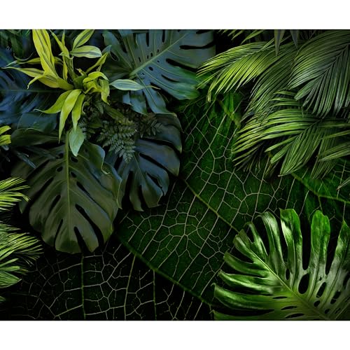 murando Fototapete selbstklebend tropische Blätter Monstera 343x256 cm Tapete Wandtapete Klebefolie Dekorfolie Tapetenfolie Wand Dekoration Wandaufkleber Wohnzimmer Natur grün von murando