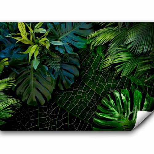 murando Fototapete tropische Blätter Monstera 450x315 cm Vlies Tapeten Wandtapete XXL Moderne Wanddeko Design Wand Dekoration Wohnzimmer Schlafzimmer Büro Flur Natur grün b-C-0224-a-a von murando