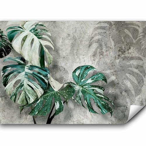 murando PREMIUM Fototapete Monstera Variegata 350x256 cm Vlies Tapeten Wandtapete XXL Moderne Wanddeko Design Wand Dekoration Wohnzimmer Schlafzimmer Natur Botanik Thai Constelation von murando