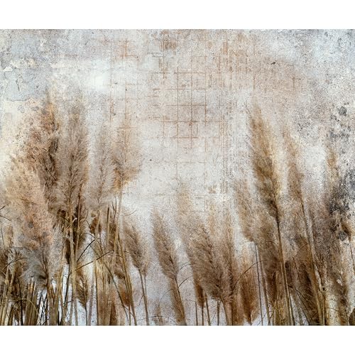 murando PREMIUM Fototapete Natur 300x210 cm Vlies Tapeten Wandtapete XXL Moderne Wanddeko Design Wand Dekoration Wohnzimmer Schlafzimmer Büro Gras Pflanzenmotiv beige b-A-10217-a-a von murando