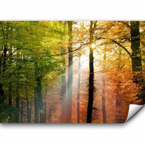 murando PREMIUM Fototapete Wald 500x350 cm Vlies Tapeten Wandtapete XXL Moderne Wanddeko Design Wand Dekoration Wohnzimmer Schlafzimmer Büro Flur Bäume grün orange Natur Landschaft von murando