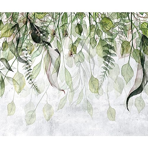 murando - Vlies Fototapete Natur 300x210cm Foto Tapete Schlafzimmer Wohnzimmer Vliestapete XXL Motivtapeten Bildtapete 3d Effekt Wand Dekoration - Botanik Efeu Pflanzen Blätter weiß grün b-C-0873-a-a murando - Vlies Fototapete Natur 300x210cm Foto Tapete Schlafzimmer Wohnzimmer Vliestapete XXL Motivtapeten Bildtapete 3d Effekt Wand Dekoration - Botanik Efeu Pflanzen Blätter weiß grün b-C-0873-a-a von murando