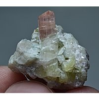 Natur Bi Farbe Turmalin Kristall with Bund Gelber & Glimmer 57 Crat von mussaminerals