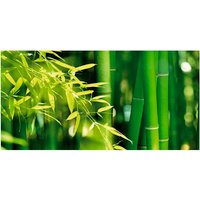 mySPOTTI Badrückwand »Bambus«, BxH:90 cm x 45 cm, grün von mySPOTTI