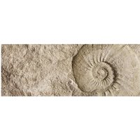 mySPOTTI Badrückwand »Fossil«, BxH:120 cm x 45 cm, beige von mySPOTTI