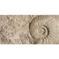 mySPOTTI Badrückwand »Fossil«, BxH:90 cm x 45 cm, beige von mySPOTTI