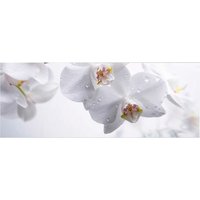 mySPOTTI Badrückwand »Orchid«, BxH:120 cm x 45 cm, weiß von mySPOTTI