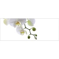 mySPOTTI Badrückwand »Orchidee Phala«, BxH:120 cm x 45 cm, weiß von mySPOTTI