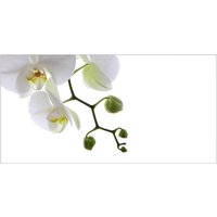 mySPOTTI Badrückwand »Orchidee Phala«, BxH:90 cm x 45 cm, weiß von mySPOTTI