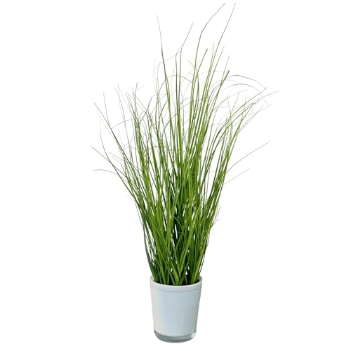 naninoa Künstlicher Grasbusch im weißen Glastopf ca. 65cm. Moderne Dekoration für Zuhause, Bürodekoration, Kunstpflanze, Kunstgras von naninoa