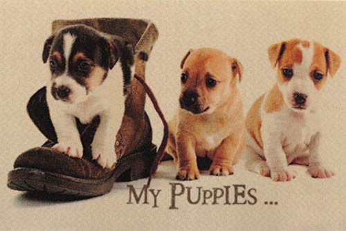 oKu-Tex Design Fußmatte Hunde Welpen Puppies, lustiges & niedliches Motiv, beige, rutschfest & waschbar, 40 x 60 cm, Deko Dekorativ von oKu-Tex
