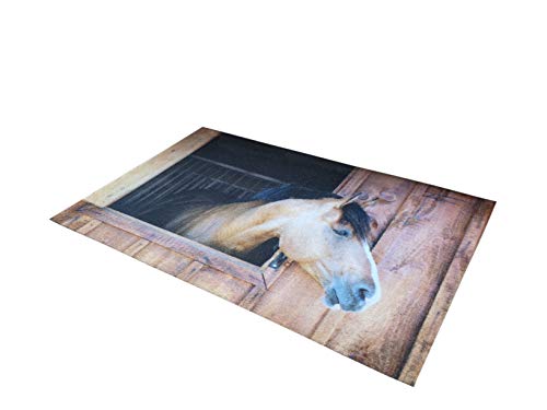 oKu-Tex Fußmatte | Schmutzfangmatte | "Deco-Star" | Aufdruck/Motiv | Pferd | Pferdestall | Tiere | Dekorativ | Innenbereich | rutschfest | 50x80 cm von oKu-Tex