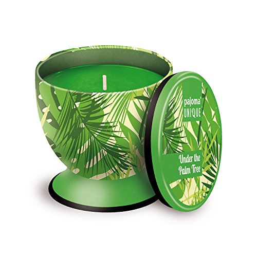 Pajoma Duftkerze UNIQUE ''Under the Palm Tree'', 240 g, Premium Duftkerze mit hohem Duftanteil, verschließbar, Brenndauer: 40 Stunden von pajoma