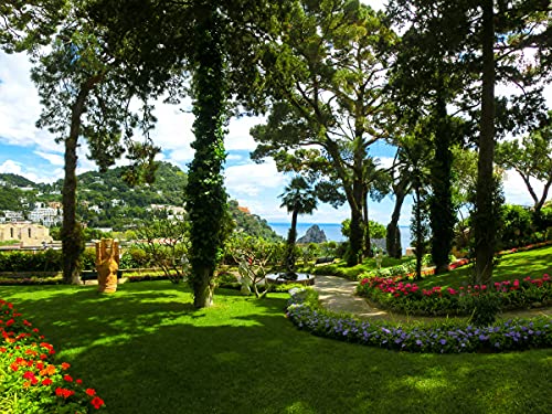 BILD TAPETE PAPERMOON, Capri Island Garden,VLIES Fototapete, Digitaldruck, ink. KLEISTER, verschiedene Größen von papermoon