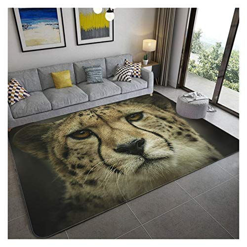 qazwsx Mode Leopard Muster Teppich Auf Dem Boden 3D Tier Gedruckt Matte Absorbieren rutschfeste Großen Teppich Wohnzimmer Kinderzimmer Teppich (Color : 5, Size : 150x240cm) von qazwsx