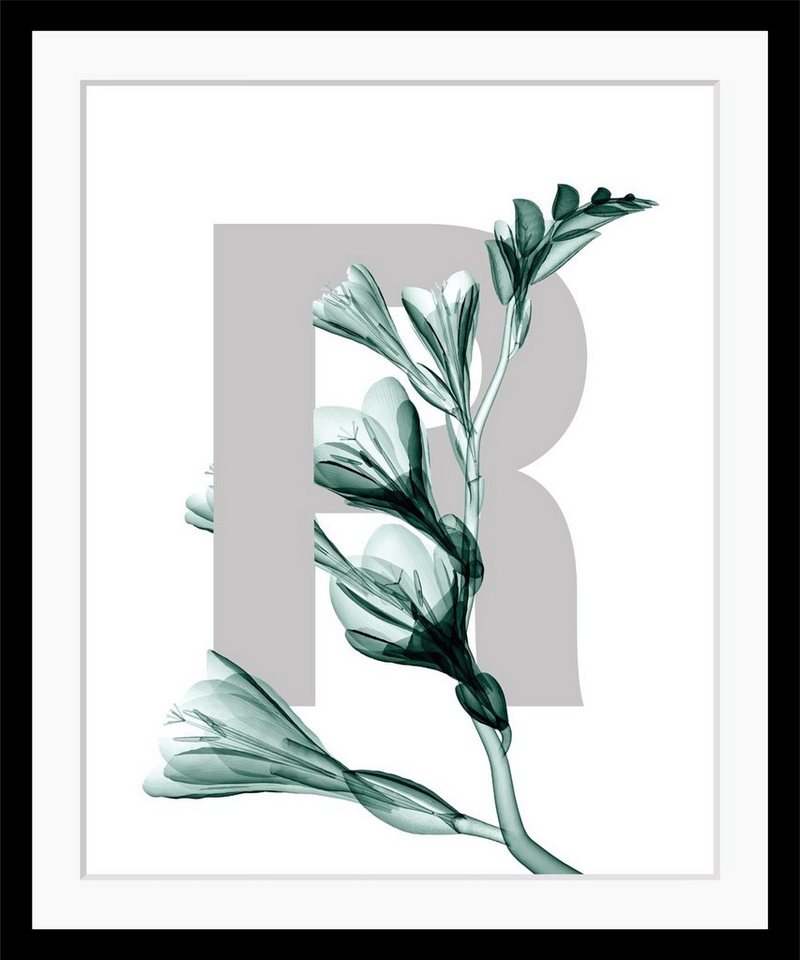 queence Bild R-Flower, Buchstaben, Blätter, gerahmt, Blume von queence