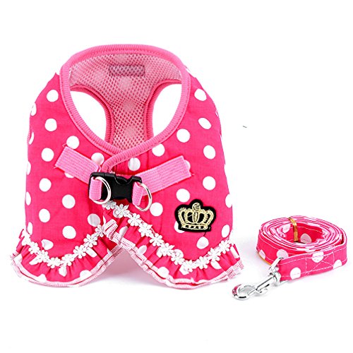 SMALLLEE_LUCKY_STORE Geschirr-Set für kleine Hunde und Katzen, gepunktet, Netzstoff, gepolstert, Größe S, Rosa von smalllee_lucky_store