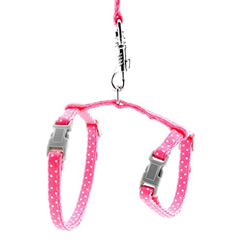 SMALLLEE_LUCKY_STORE Spielzeug Hund Katze Kätzchen Verstellbares Geschirr Halsband Kaninchen Geschir Elastischer Gehgeschirr Set für Kleintiere,Giraffen,Rosa von smalllee_lucky_store