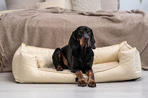 tierlando® Orthopädisches Hundebett Goofy Kunstleder inkl. Matratzenschoner Mittelgroße und Große Hunde Hundesofa Gr. M+ 90cm Creme von tierlando