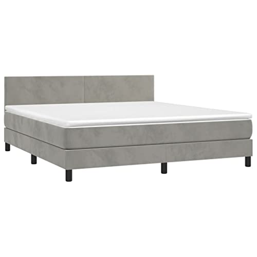 vidaXL Boxspringbett, Bett mit Matratze Kopfteil LED, Doppelbett Bettgestell mit Lattenrost, Polsterbett Bettrahmen, Hellgrau 160x200cm Samt von vidaXL