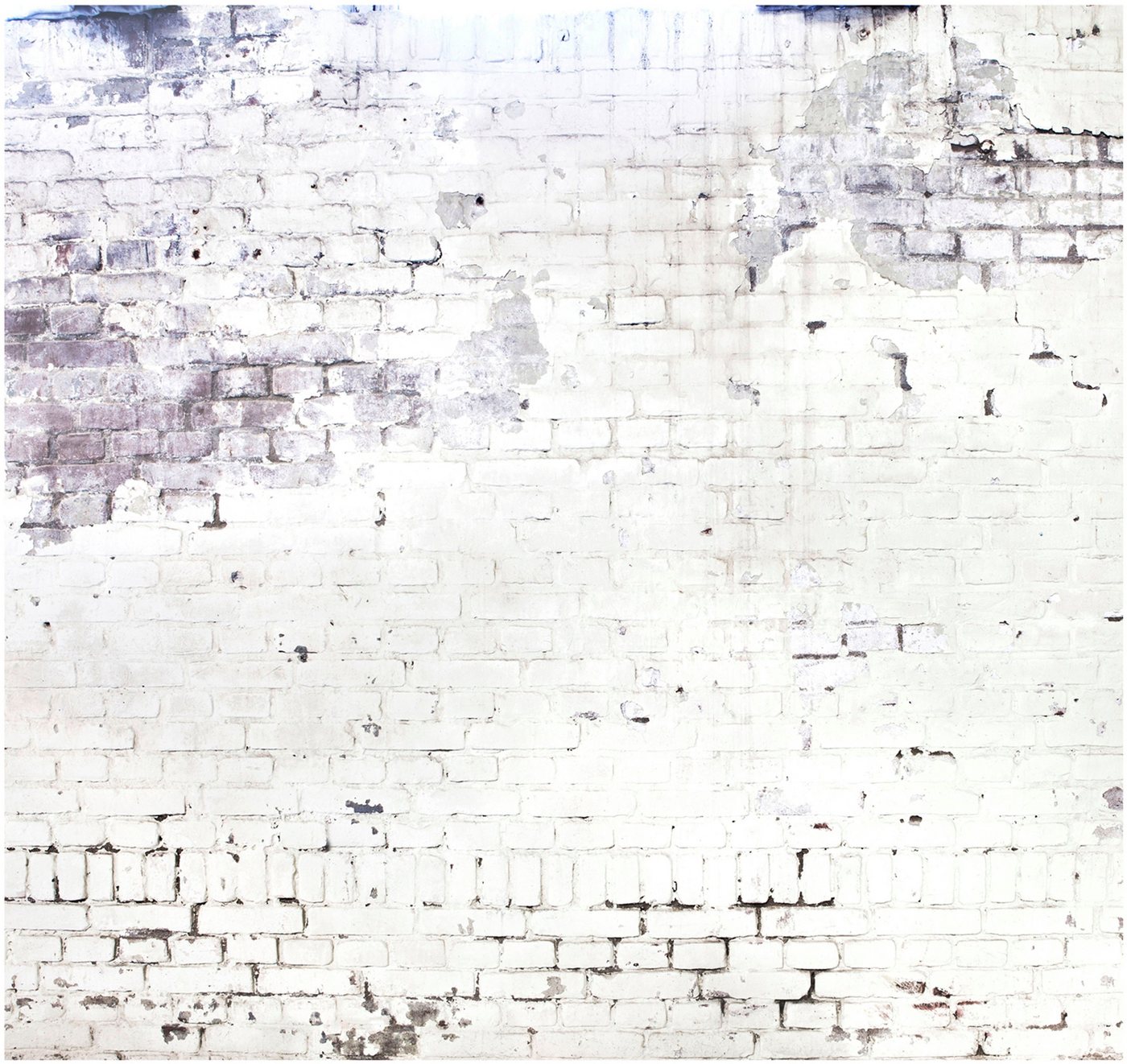 vtwonen Fototapete Wand/Steine, Steinoptik, (1 St), 318x300cm von vtwonen