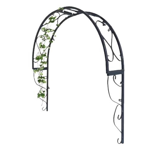 Rosenbogen aus Metall Wandmontierter Gartenbogen für Kletterpflanzen Torbogen Rankhilfe Rankgitter Rosenhilfe Stabiler Rankbogen für Fenster Türen Eingänge, 120x20x120cm von walisk