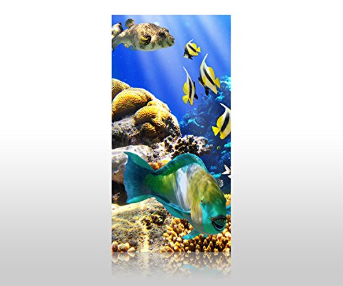 wandmotiv24 Duschrückwand Unterwasser 100 x 200cm (B x H) - Aluminium 3mm M0011 von wandmotiv24
