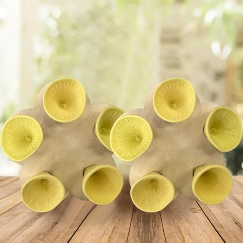 wangjinjie 2PCS Bienen-Insekten-Trinkbecher, Bienen trinkbecher, Bee cups, Bienenbecher,insekten trinkbecher Bienen brauchen einen sicheren Ort, bienen und insekten trinkbecher (Gelb) von wangjinjie