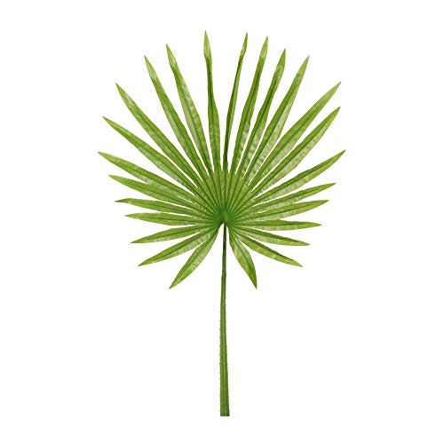 wohnfuehlidee Kunstpflanze Fächerpalmwedel, 2er Set, Farbe dunkelgrün, Höhe ca. 90 cm von wohnfuehlidee