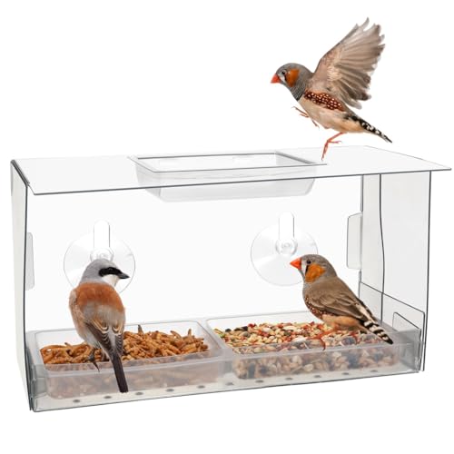 yomoe Vogelhäuschen für Fenster. Vögel Fressen Ungestört, Während Sie Zuschauen. Innovative Fenster-Vogelhäuschen mit Starken Saugnäpfen von yomoe